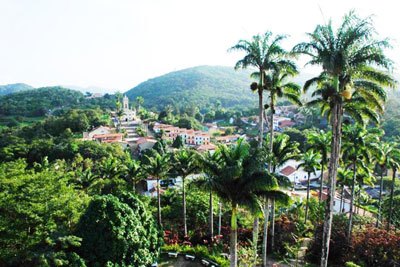 guara